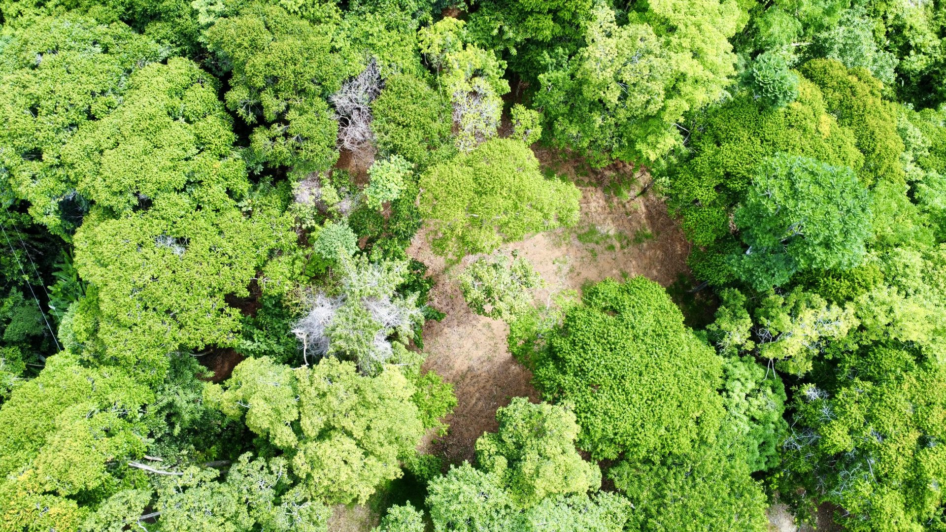 0 bed Land For Sale in Dominical, Puntarenas - thumb 9