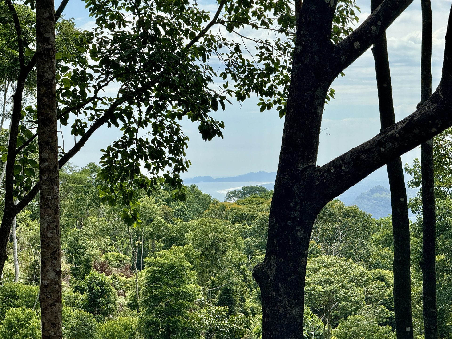 0 bed Land For Sale in Dominical, Puntarenas - thumb 1