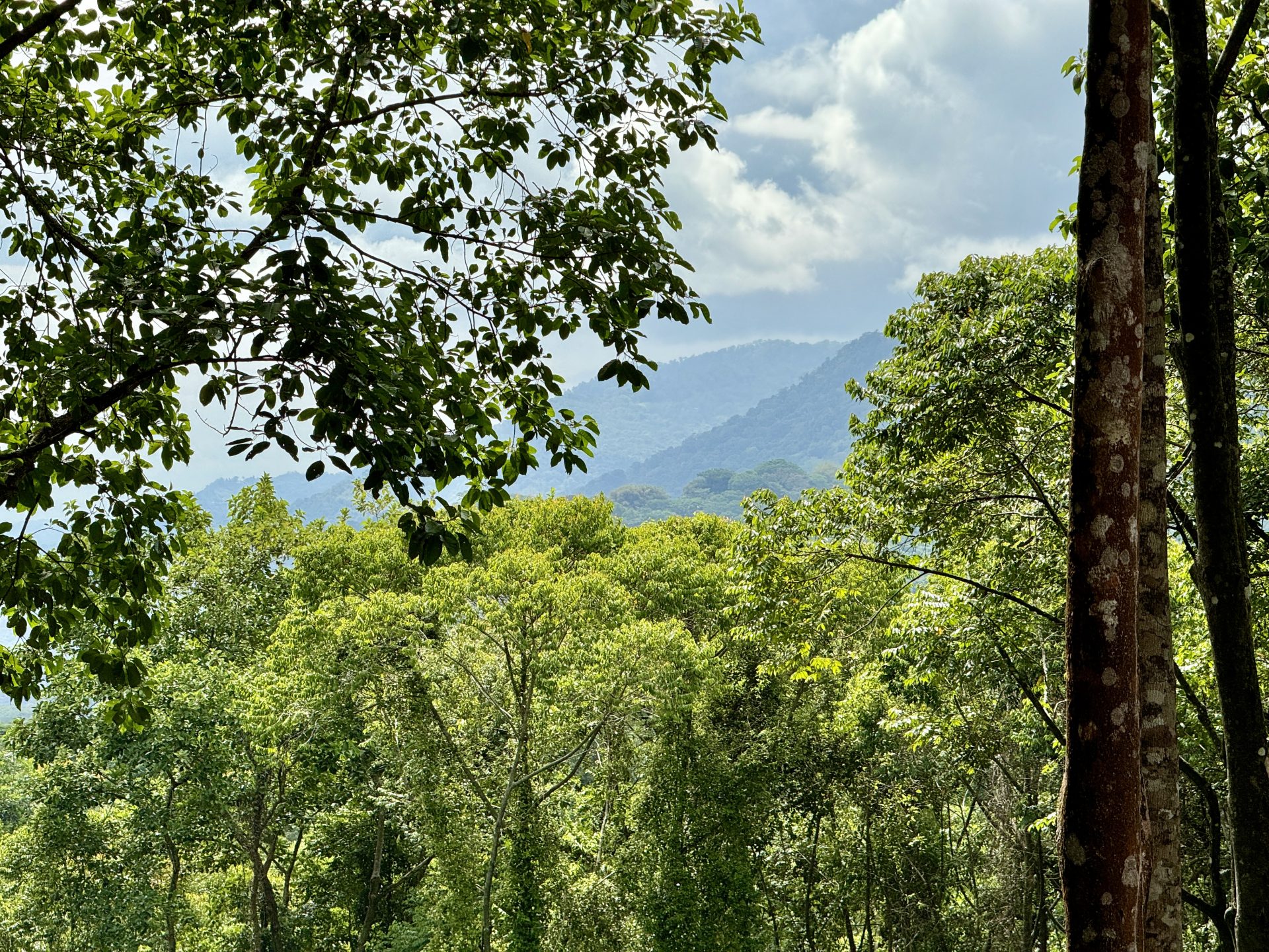 0 bed Land For Sale in Dominical, Puntarenas - thumb 3