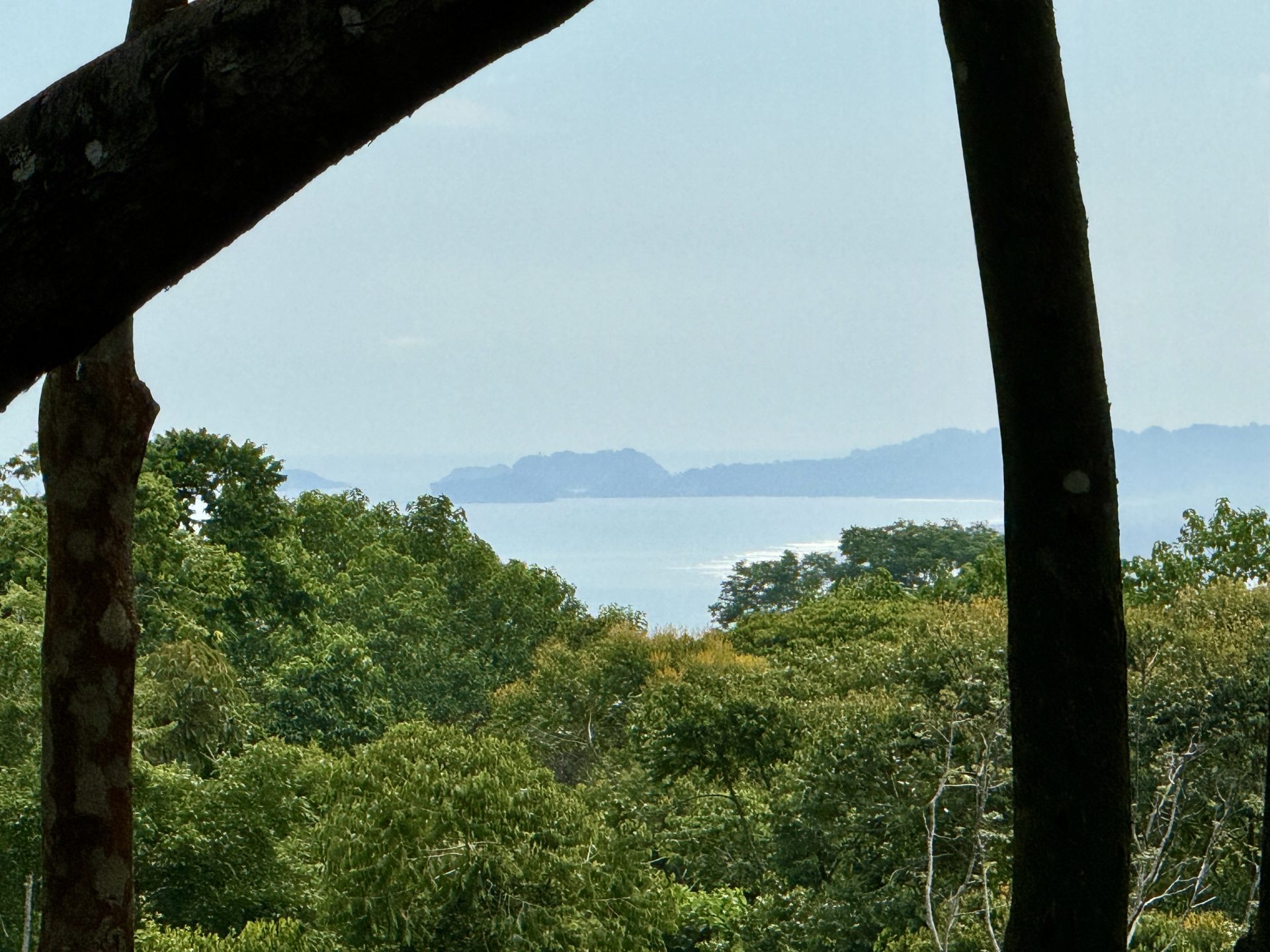 0 bed Land For Sale in Dominical, Puntarenas - thumb 2