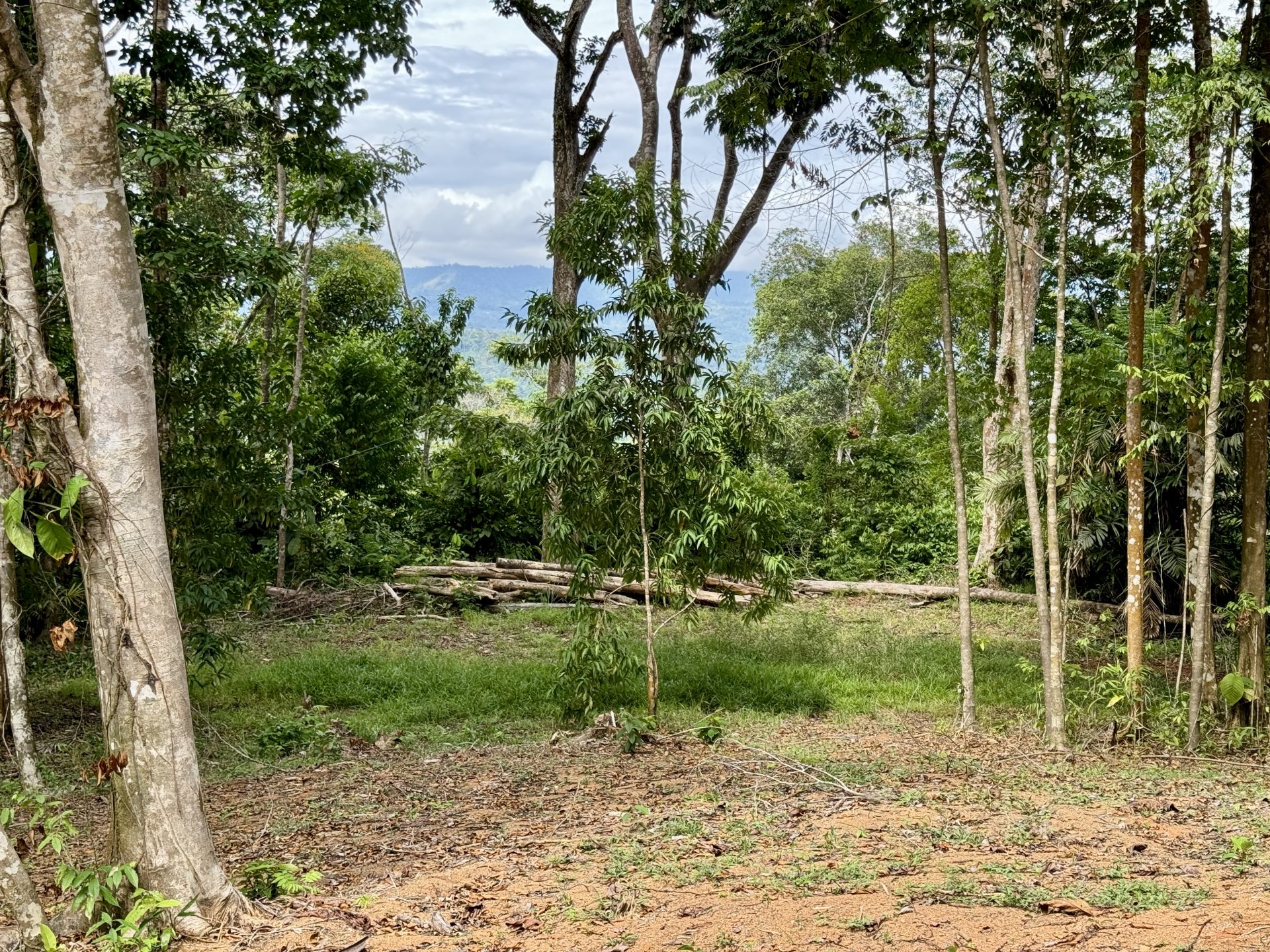 0 bed Land For Sale in Dominical, Puntarenas - thumb 6