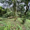  - 3 ACRES - Beautiful Mountain View Property, Small Ocean Window, Public Road Fron