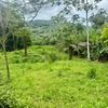  - 3 ACRES - Beautiful Mountain View Property, Small Ocean Window, Public Road Fron