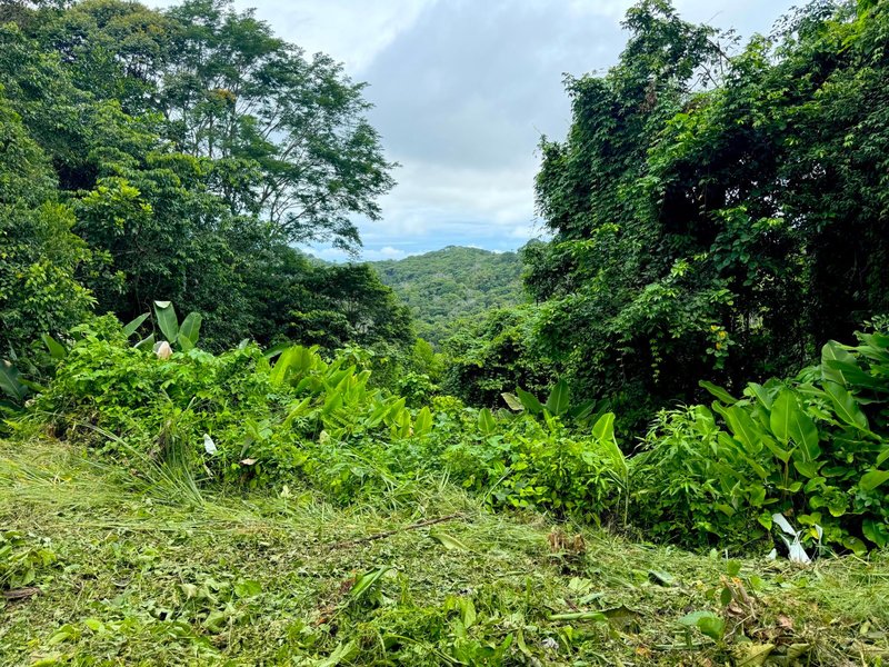 0 bed Land For Sale in Dominical, Puntarenas - 1