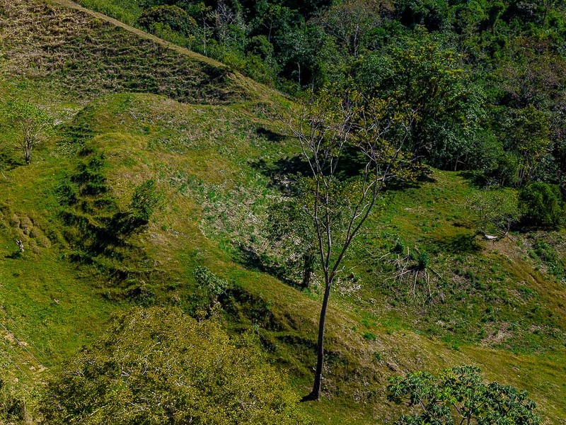 0 bed Land For Sale in Uvita, Puntarenas - 1