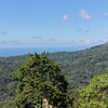  - Premium Ocean View Homesite in Vista Dominical Estates - Lot #17