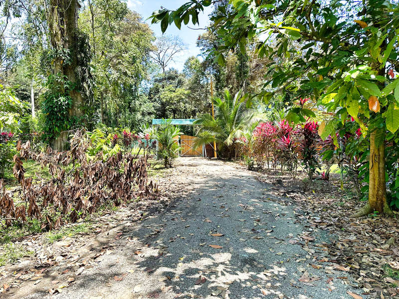 4 bed Single Family Homes For Sale in Puerto Viejo, Limón - hero 5