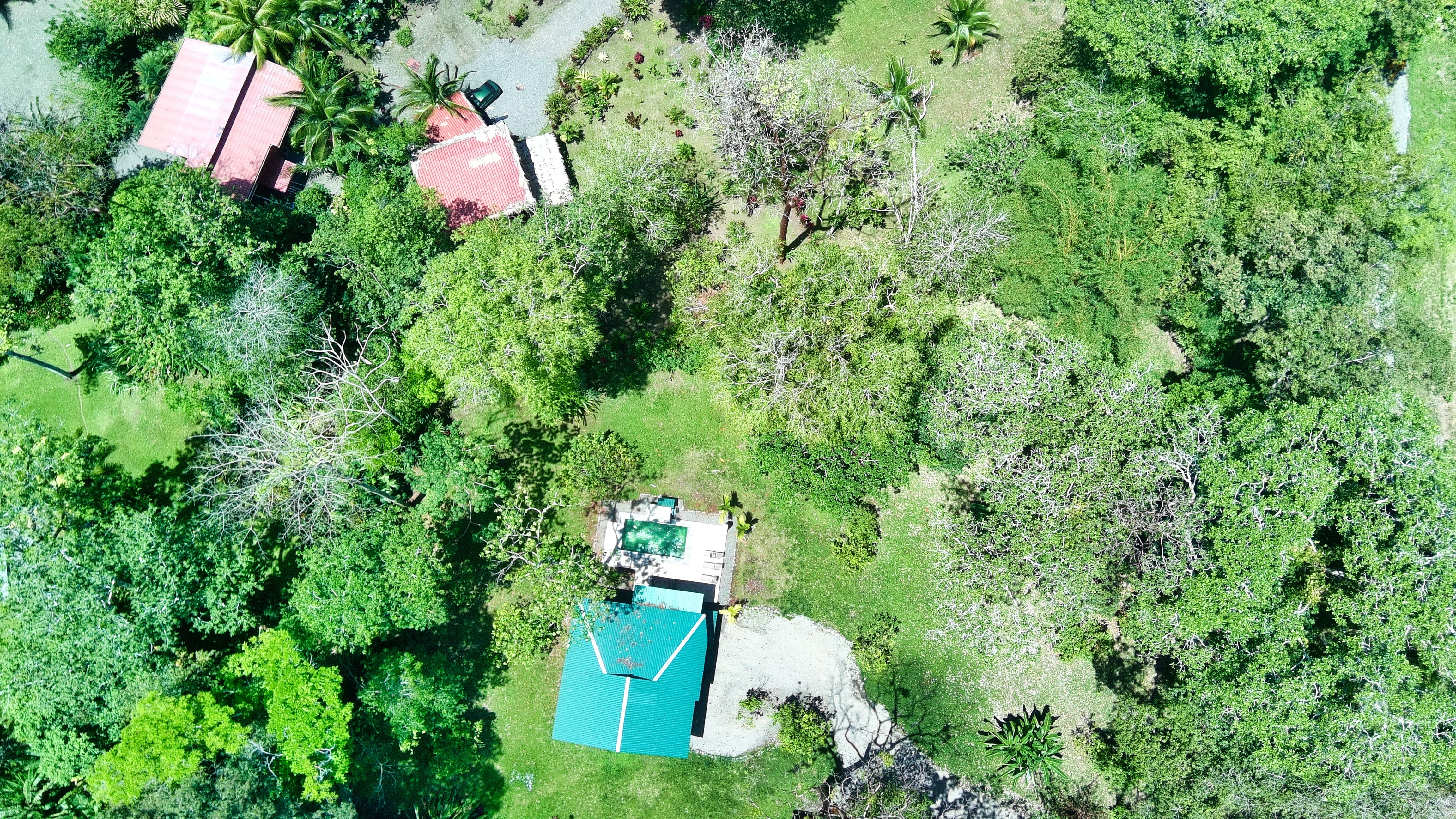 4 bed Single Family Homes For Sale in Puerto Viejo, Limón - thumb 4