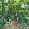  - Ocean View Land for Sale in Uvita San Josecito with Whale Tail Views and Gated