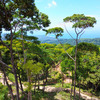  - Ocean View Land for Sale in Uvita San Josecito with Whale Tail Views and Gated