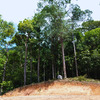  - Ocean View Land for Sale in Uvita San Josecito with Whale Tail Views and Gated