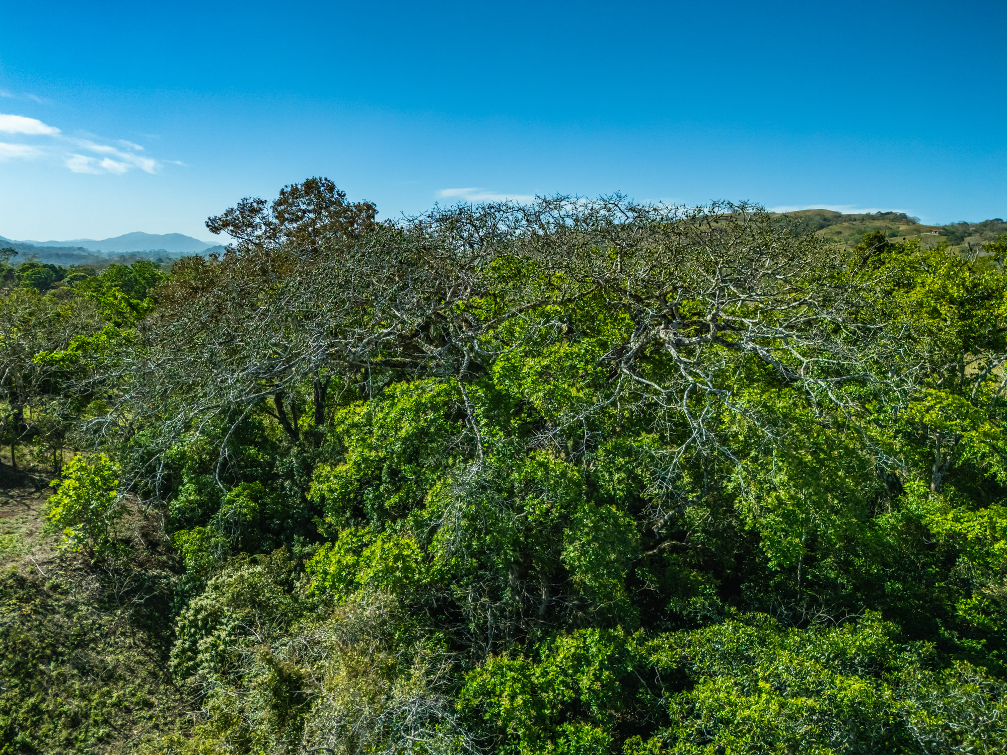 0 bed Land For Sale in Hojancha, Guanacaste - thumb 5