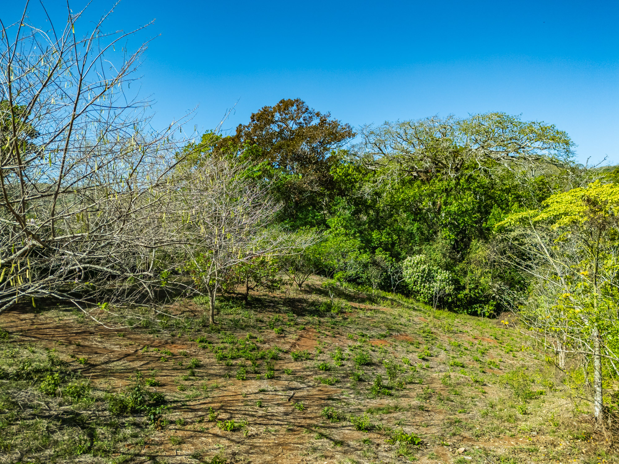 0 bed Land For Sale in Hojancha, Guanacaste - thumb 8