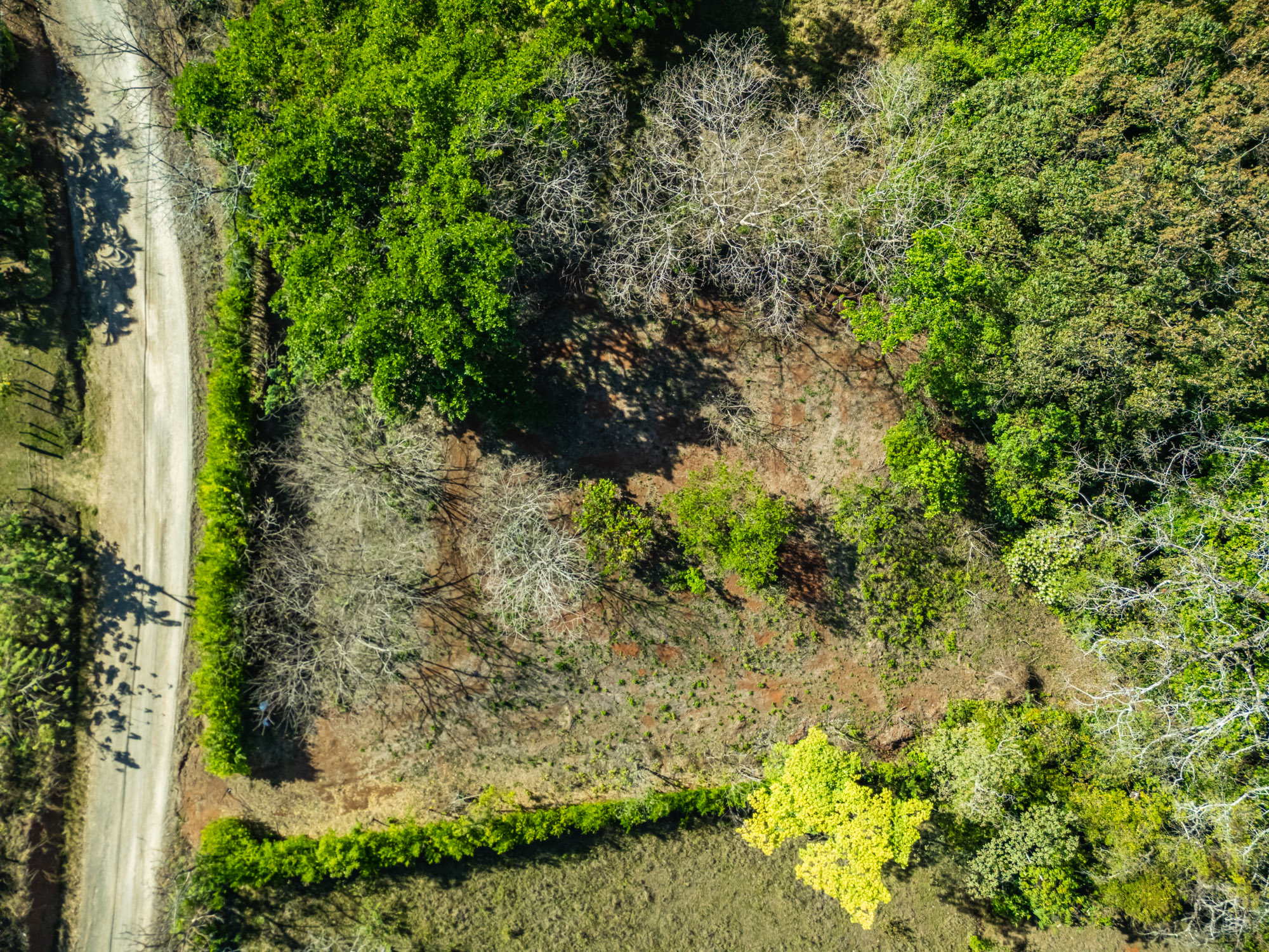 0 bed Land For Sale in Hojancha, Guanacaste - thumb 4
