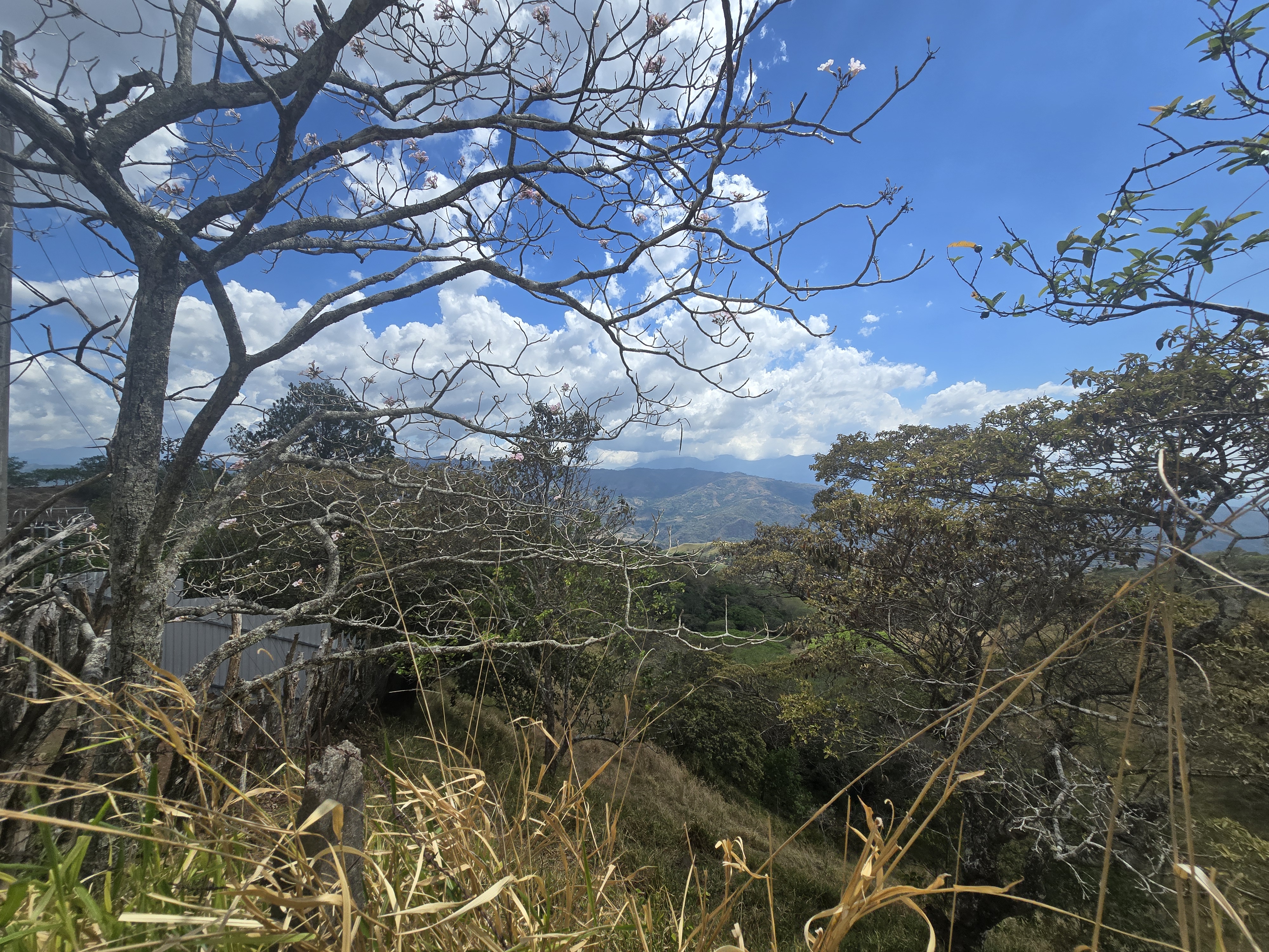 0 bed Land For Sale in Atenas, Alajuela - thumb 5