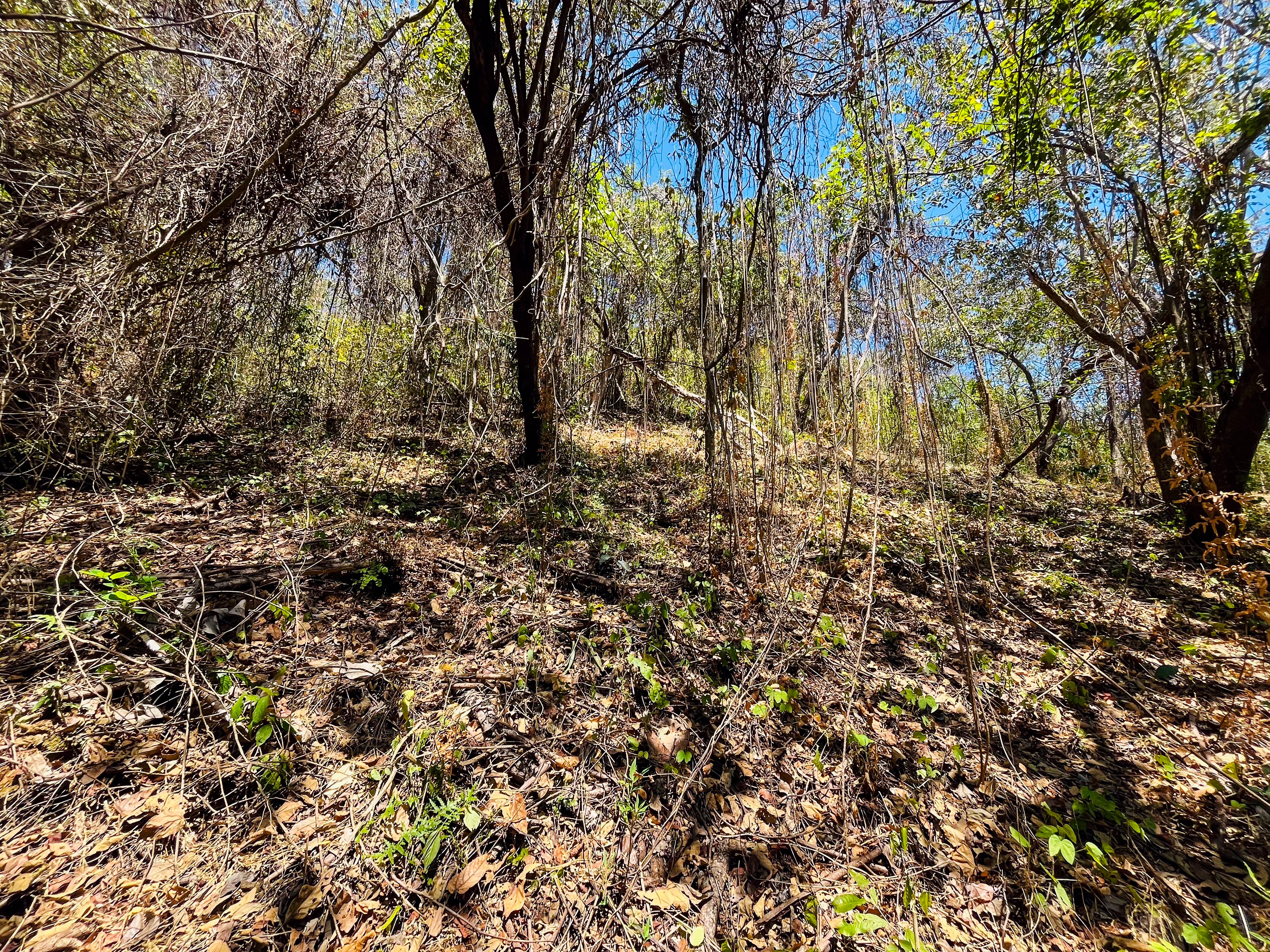 0 bed Land For Sale in Playa San Miguel, Guanacaste - thumb 6