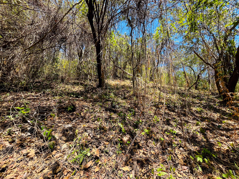 0 bed Land For Sale in Playa San Miguel, Guanacaste - hero 6