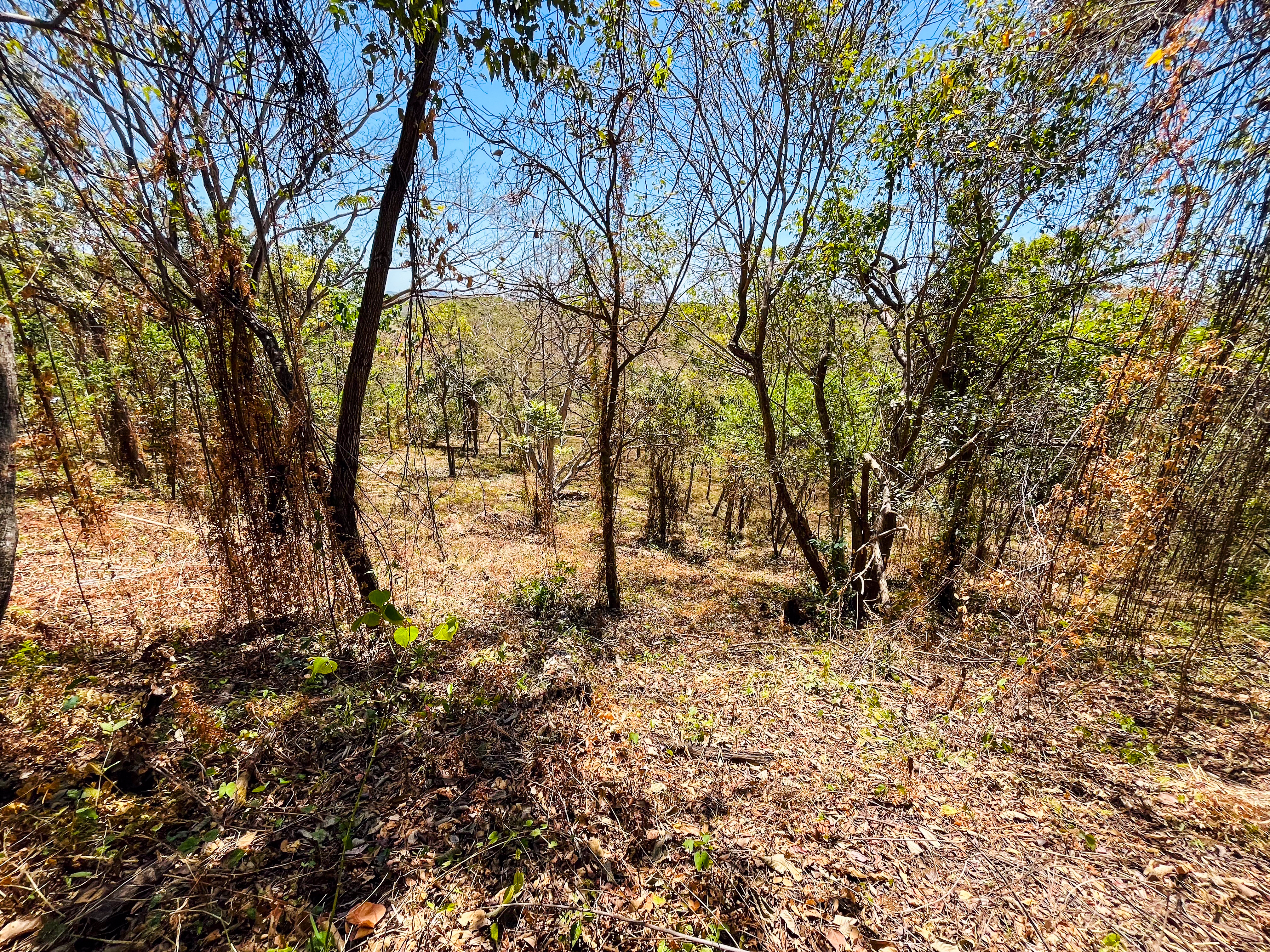 0 bed Land For Sale in Playa San Miguel, Guanacaste - thumb 8