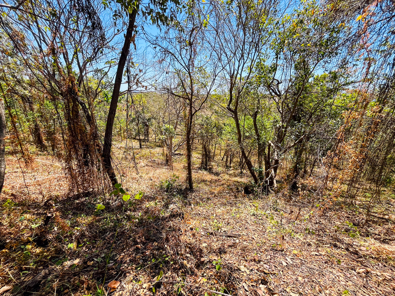0 bed Land For Sale in Playa San Miguel, Guanacaste - hero 8