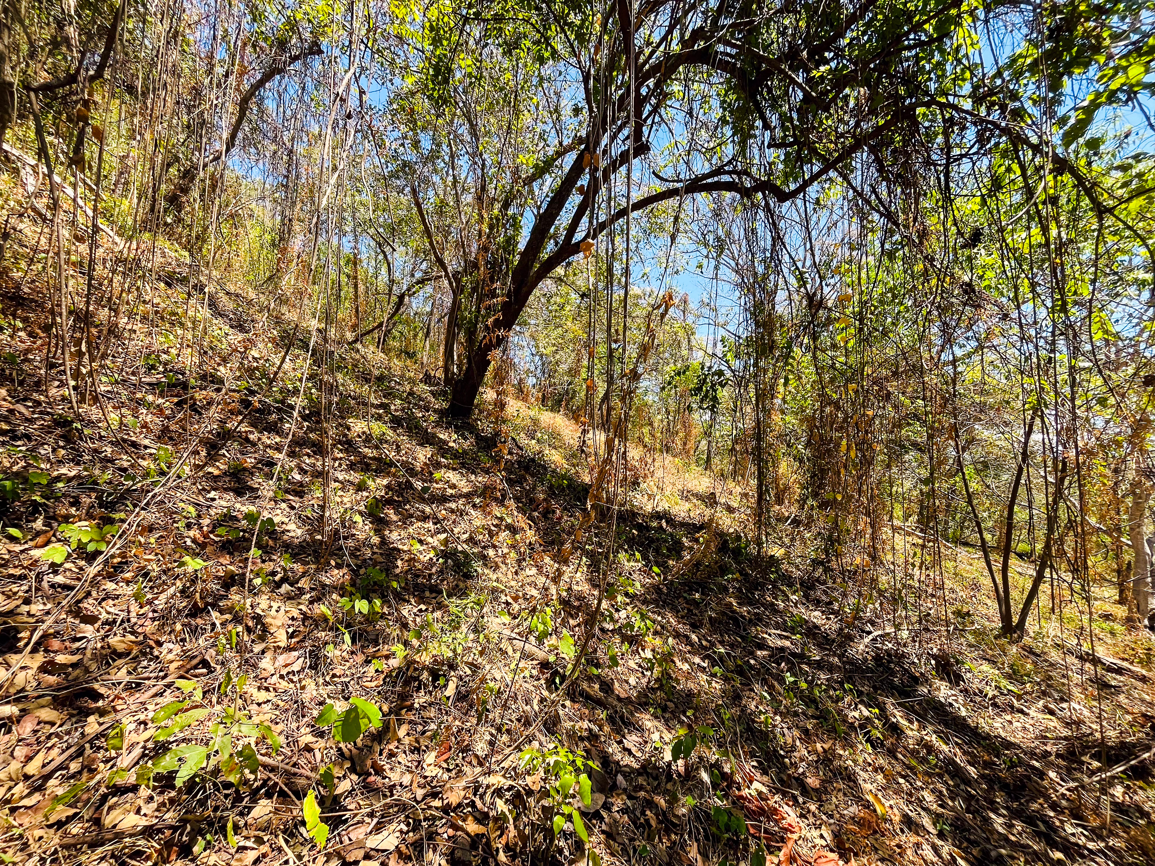 0 bed Land For Sale in Playa San Miguel, Guanacaste - thumb 5
