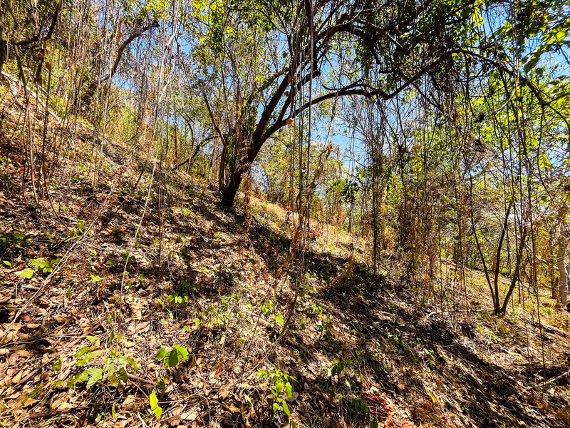0 bed Land For Sale in Playa San Miguel, Guanacaste - hero 5