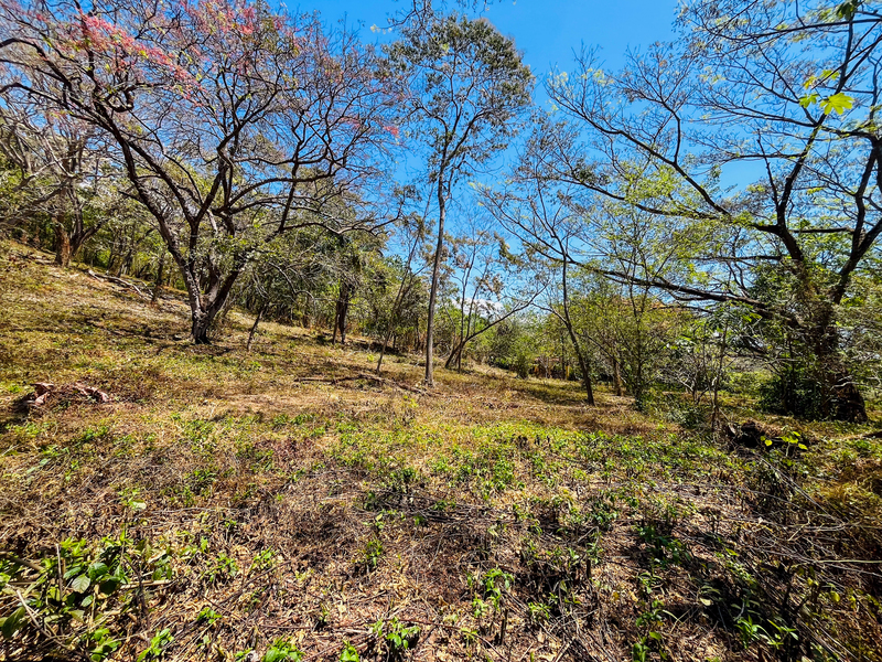 0 bed Land For Sale in Playa San Miguel, Guanacaste - 1