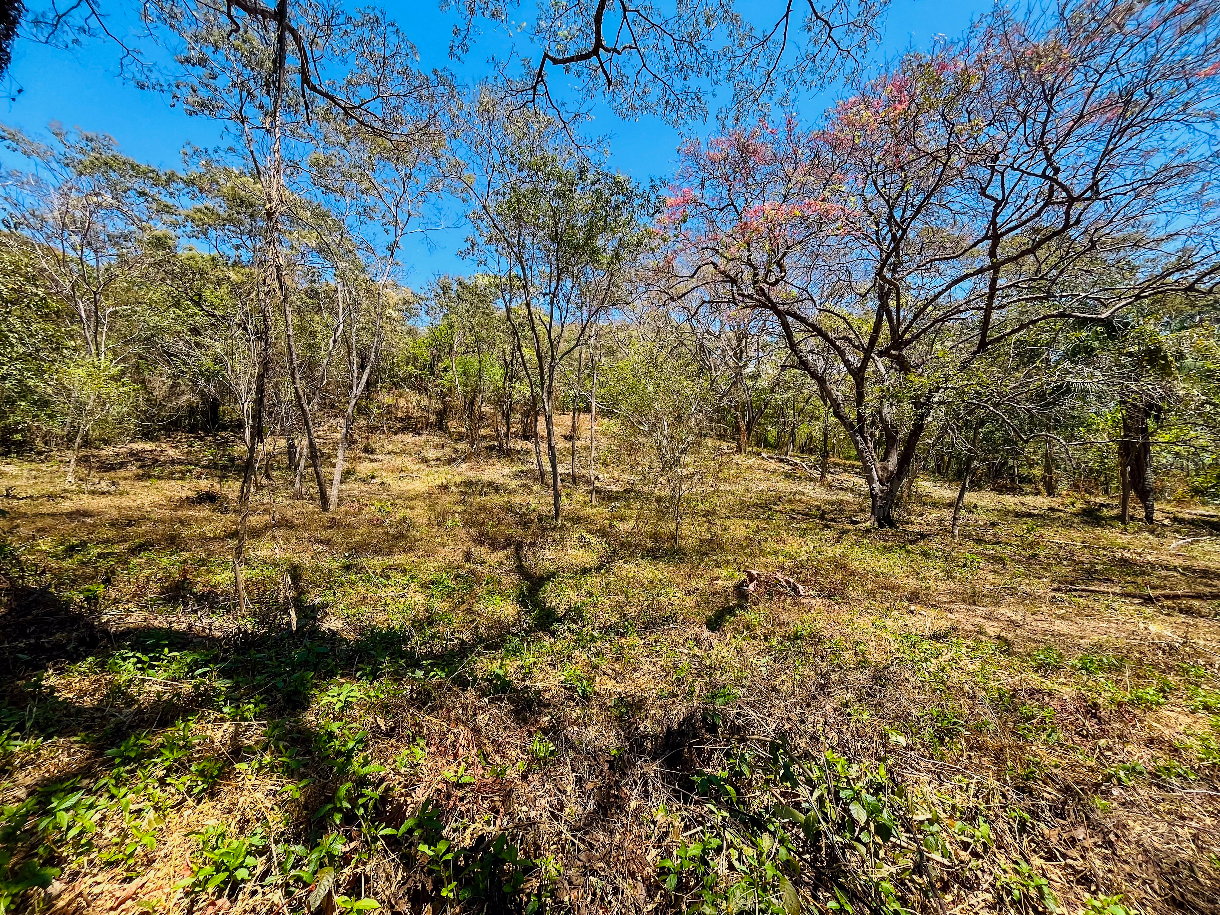 0 bed Land For Sale in Playa San Miguel, Guanacaste - thumb 2