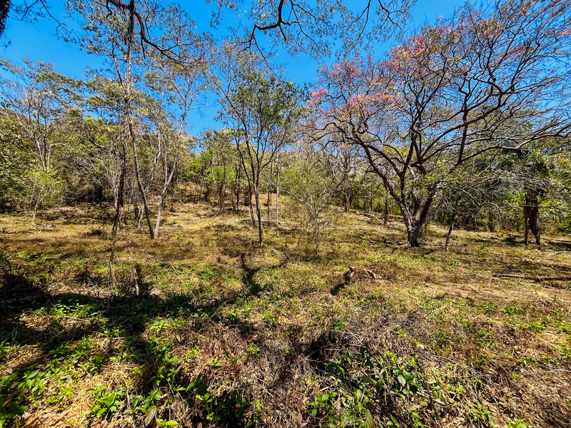 0 bed Land For Sale in Playa San Miguel, Guanacaste - hero 2