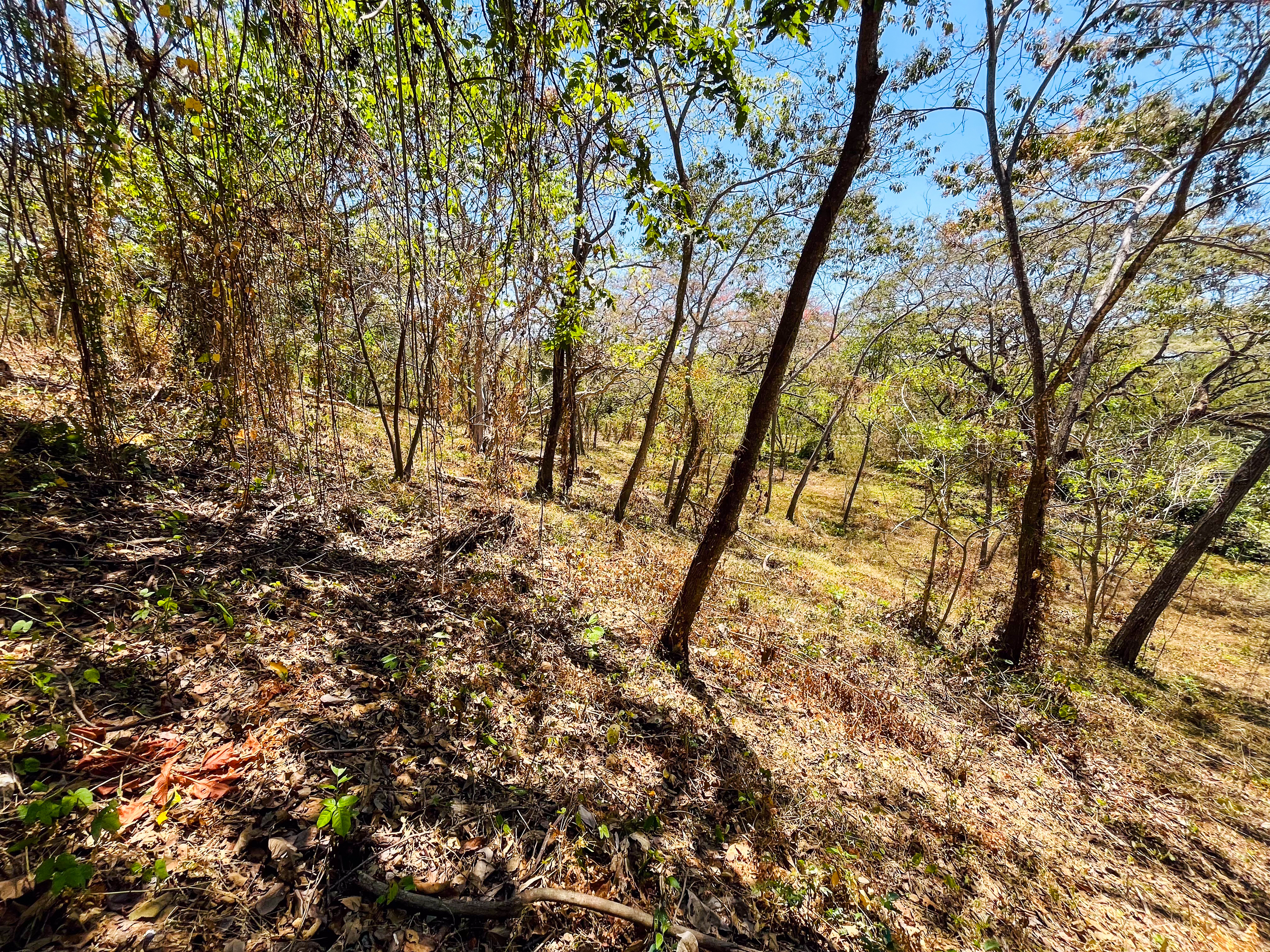 0 bed Land For Sale in Playa San Miguel, Guanacaste - thumb 4