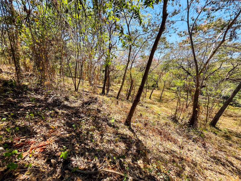 0 bed Land For Sale in Playa San Miguel, Guanacaste - hero 4