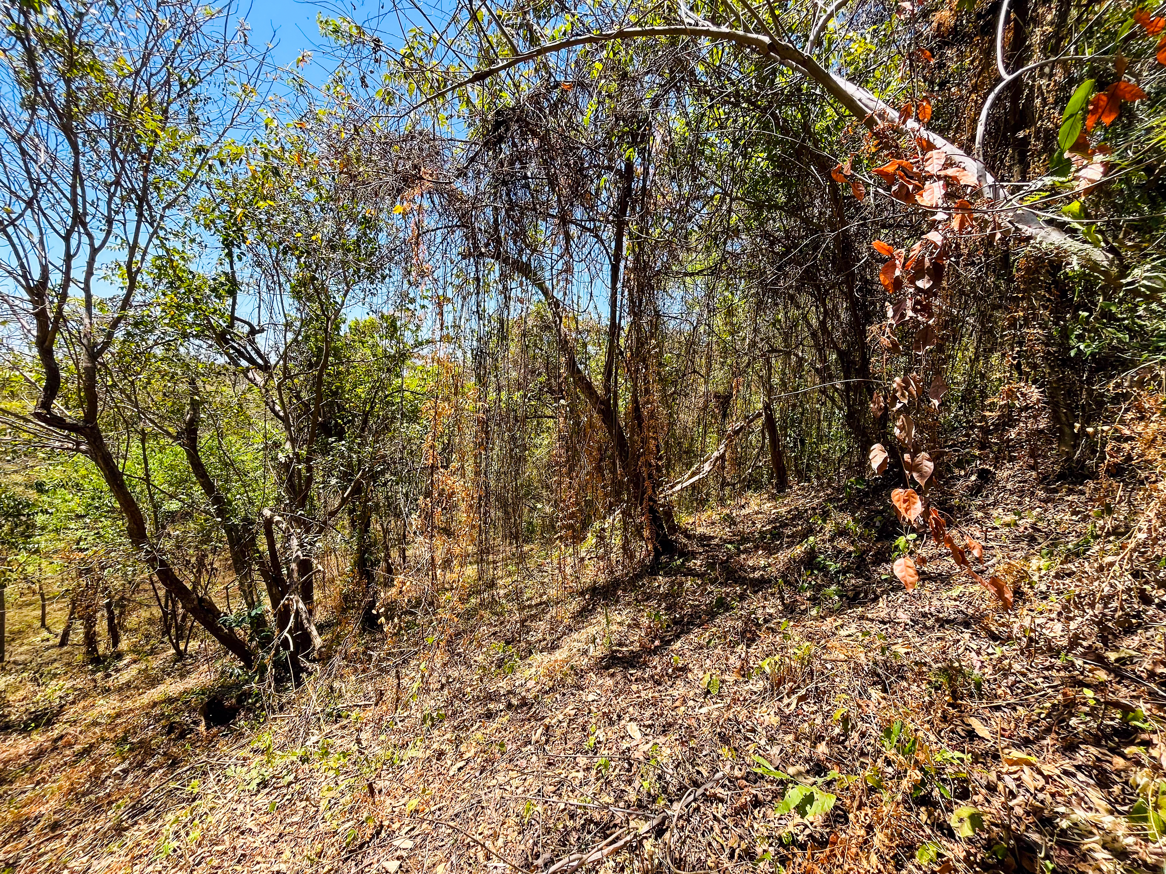 0 bed Land For Sale in Playa San Miguel, Guanacaste - thumb 7