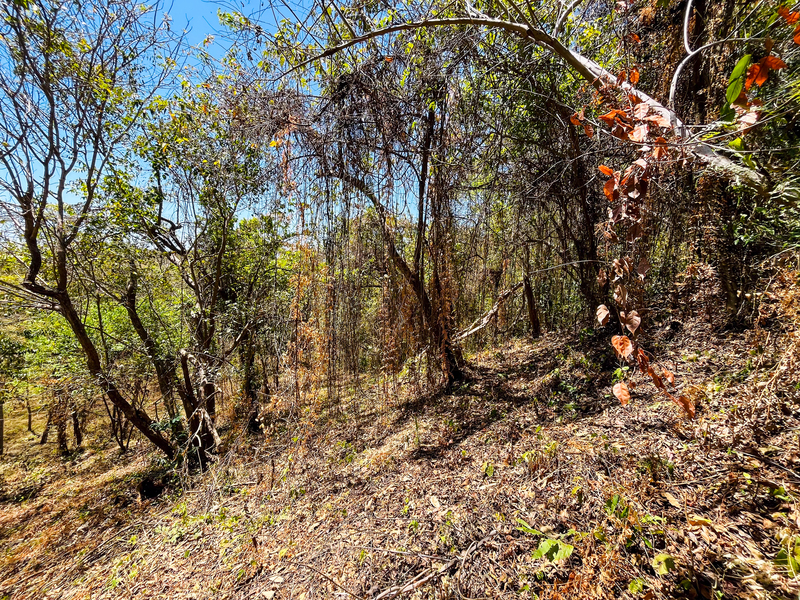 0 bed Land For Sale in Playa San Miguel, Guanacaste - hero 7