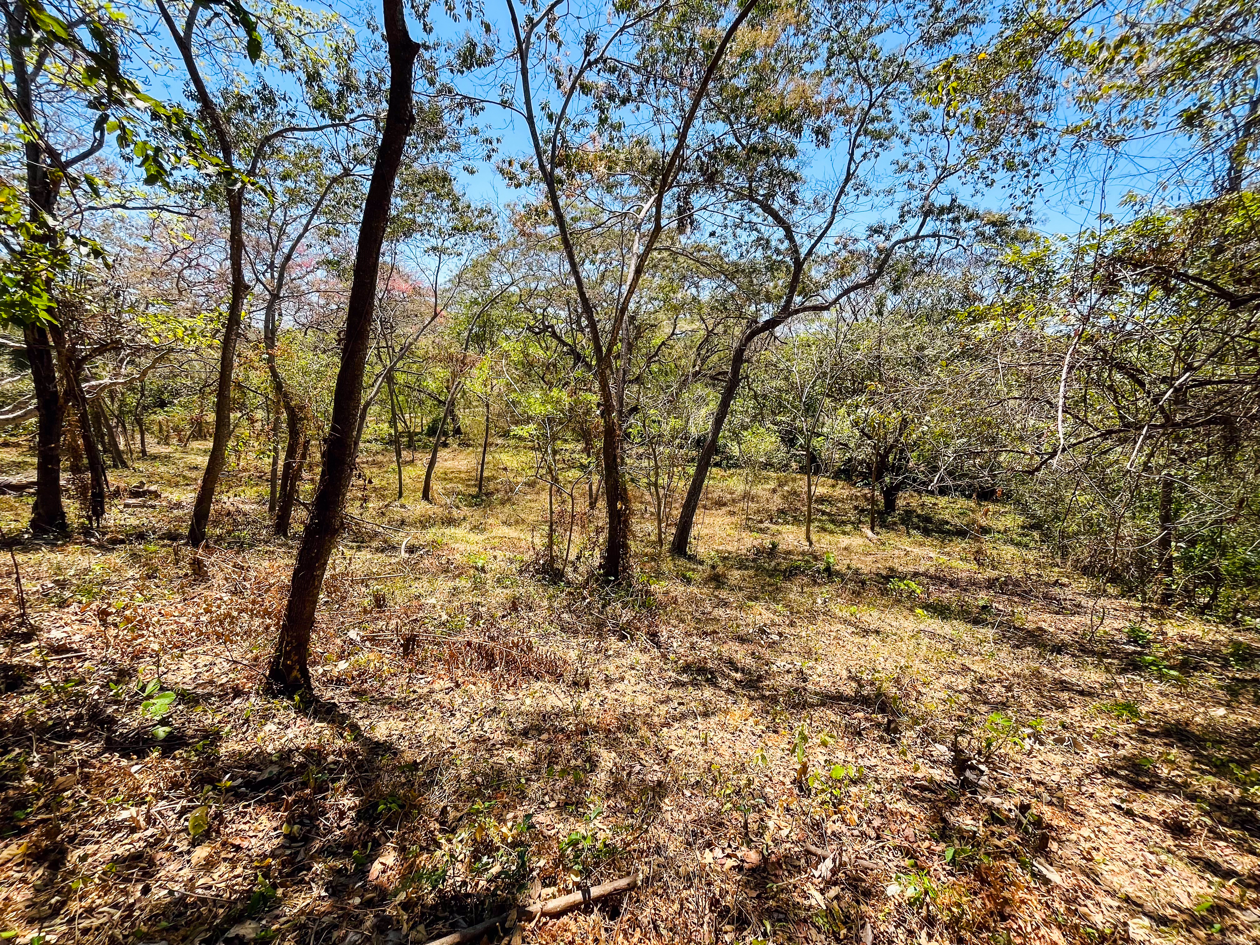 0 bed Land For Sale in Playa San Miguel, Guanacaste - thumb 3