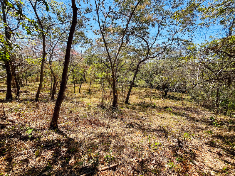 0 bed Land For Sale in Playa San Miguel, Guanacaste - hero 3