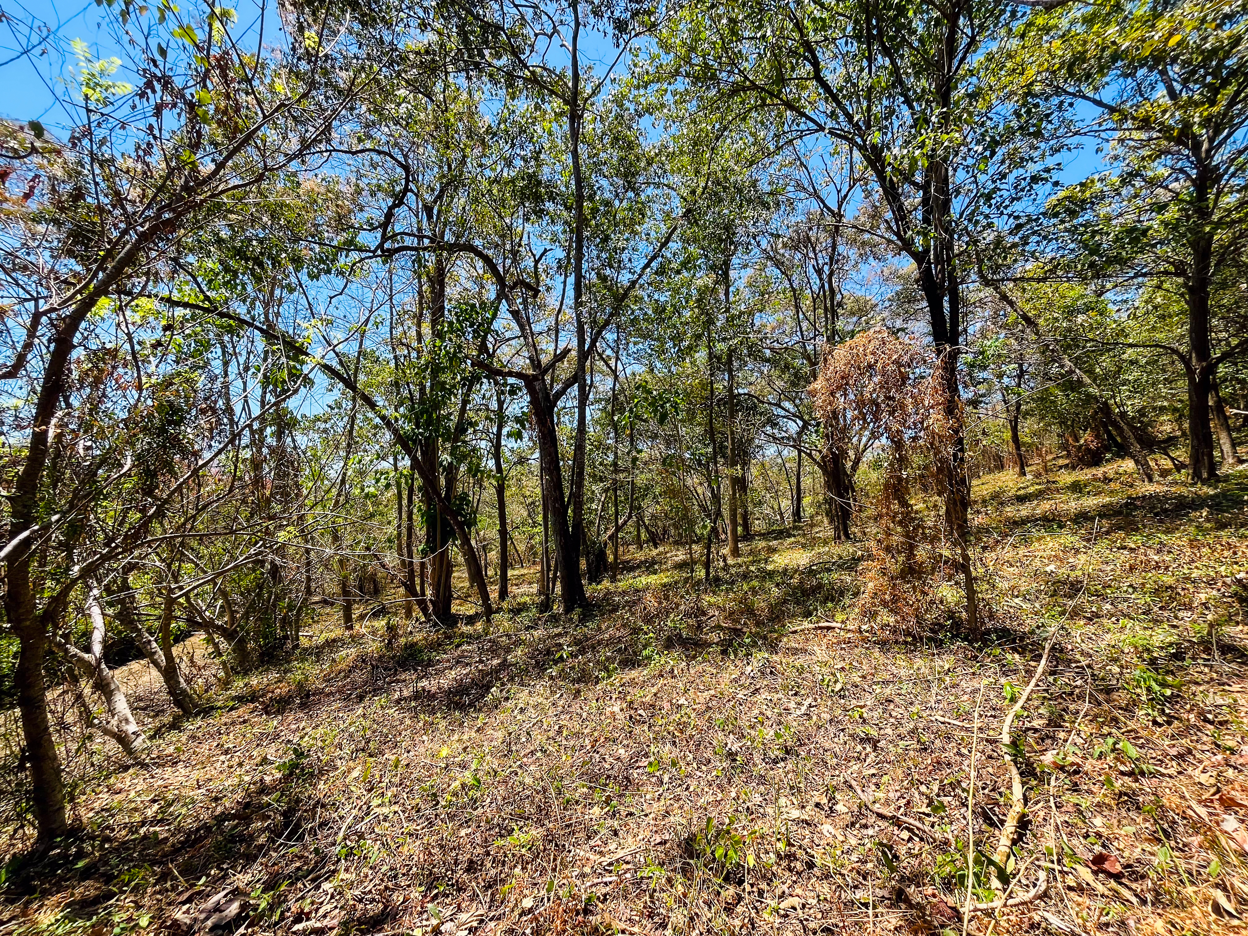 0 bed Land For Sale in Playa San Miguel, Guanacaste - thumb 1