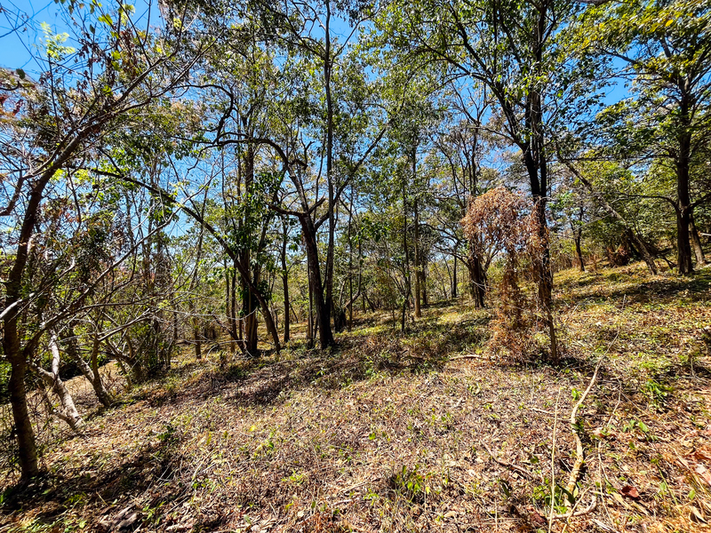 0 bed Land For Sale in Playa San Miguel, Guanacaste - 1