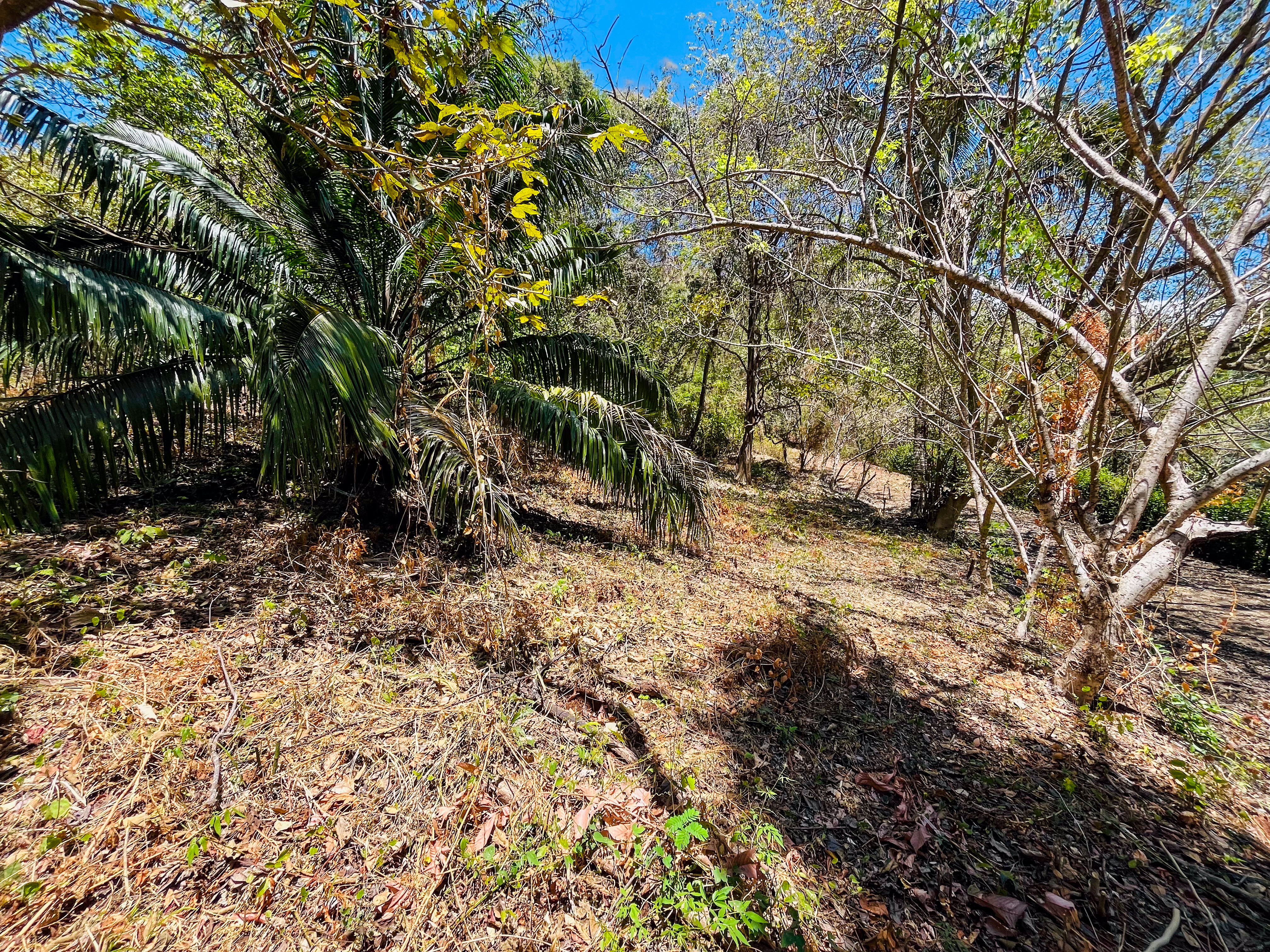 0 bed Land For Sale in Playa San Miguel, Guanacaste - thumb 7