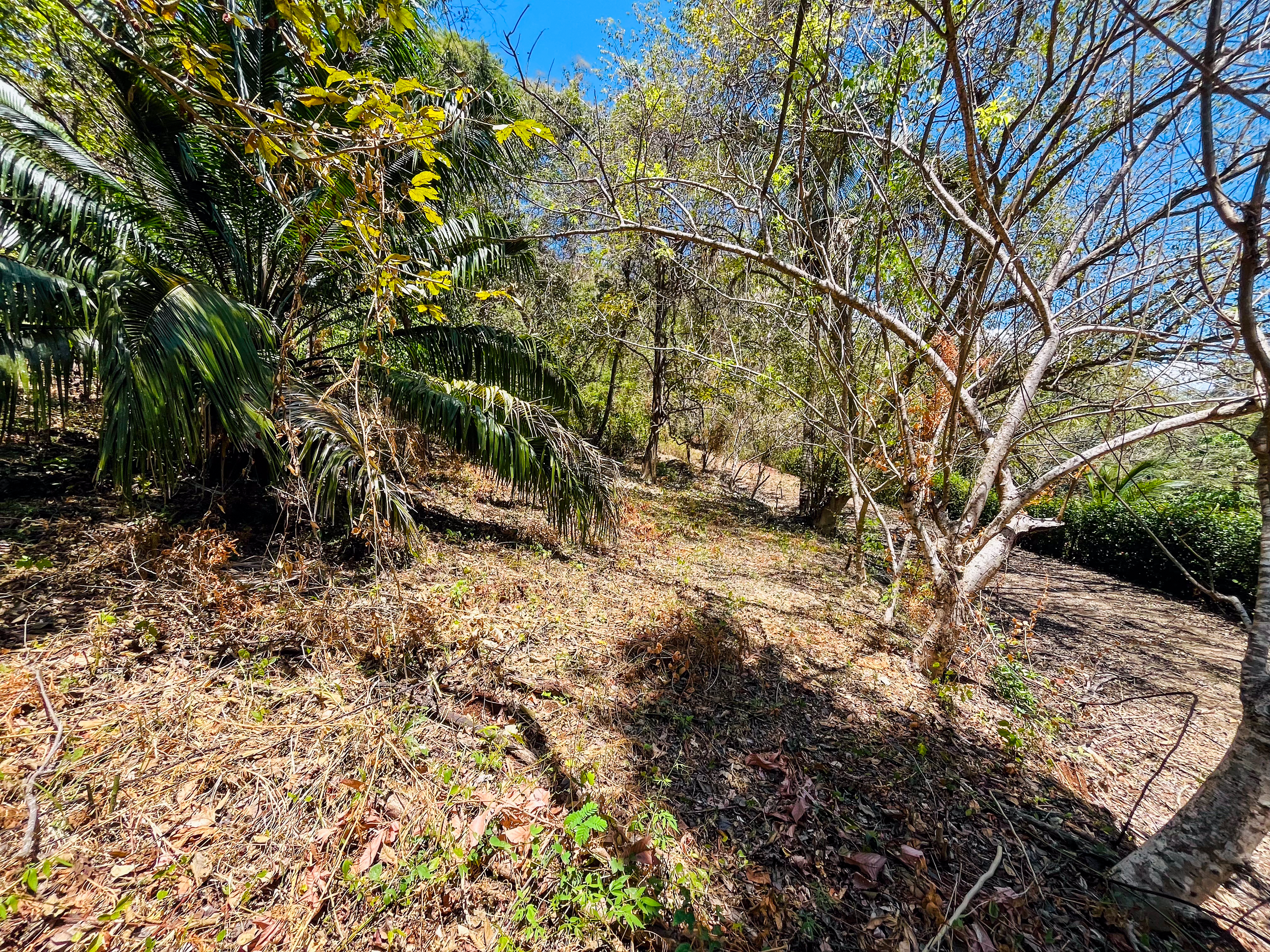 0 bed Land For Sale in Playa San Miguel, Guanacaste - thumb 6