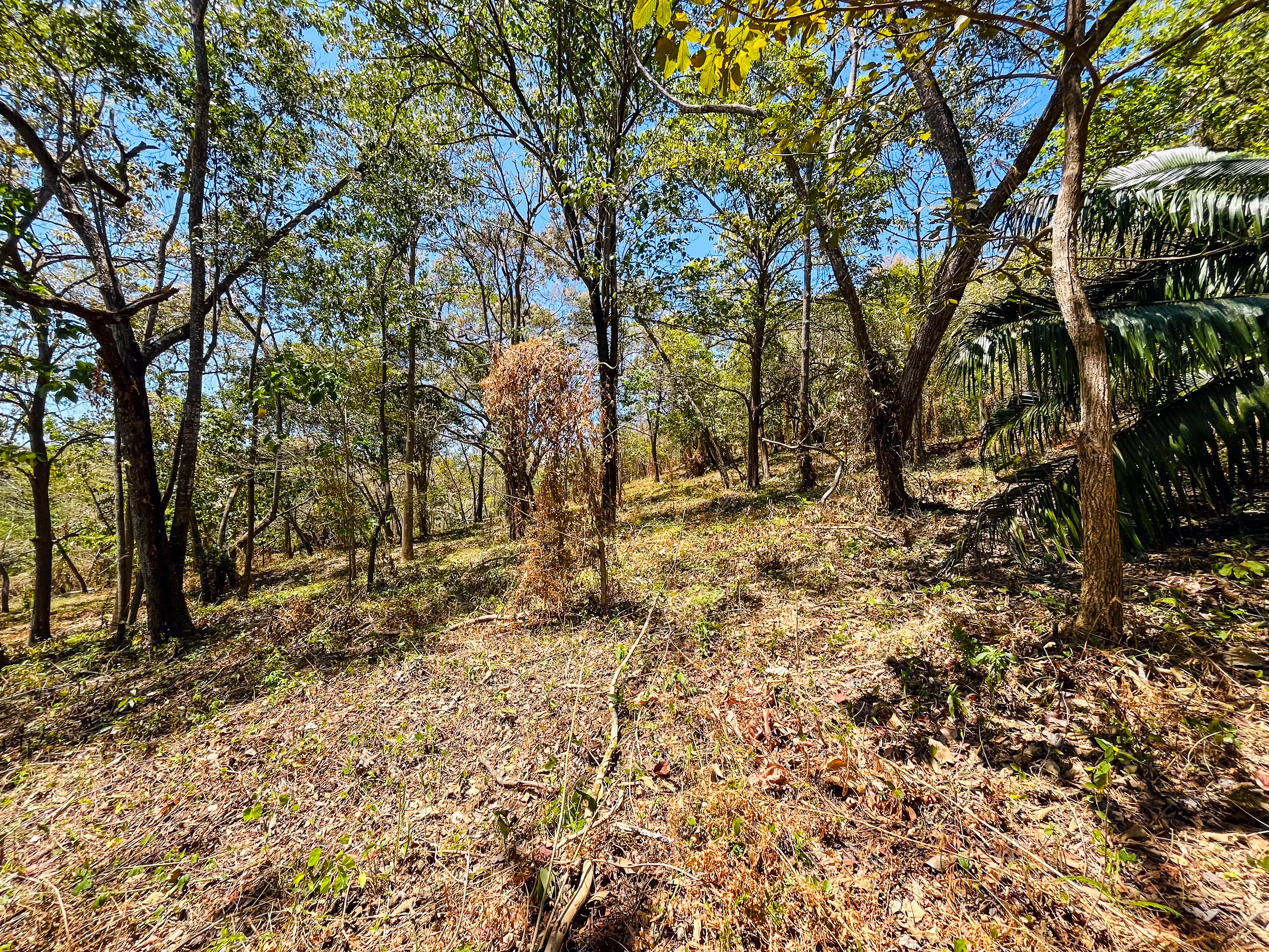 0 bed Land For Sale in Playa San Miguel, Guanacaste - thumb 5