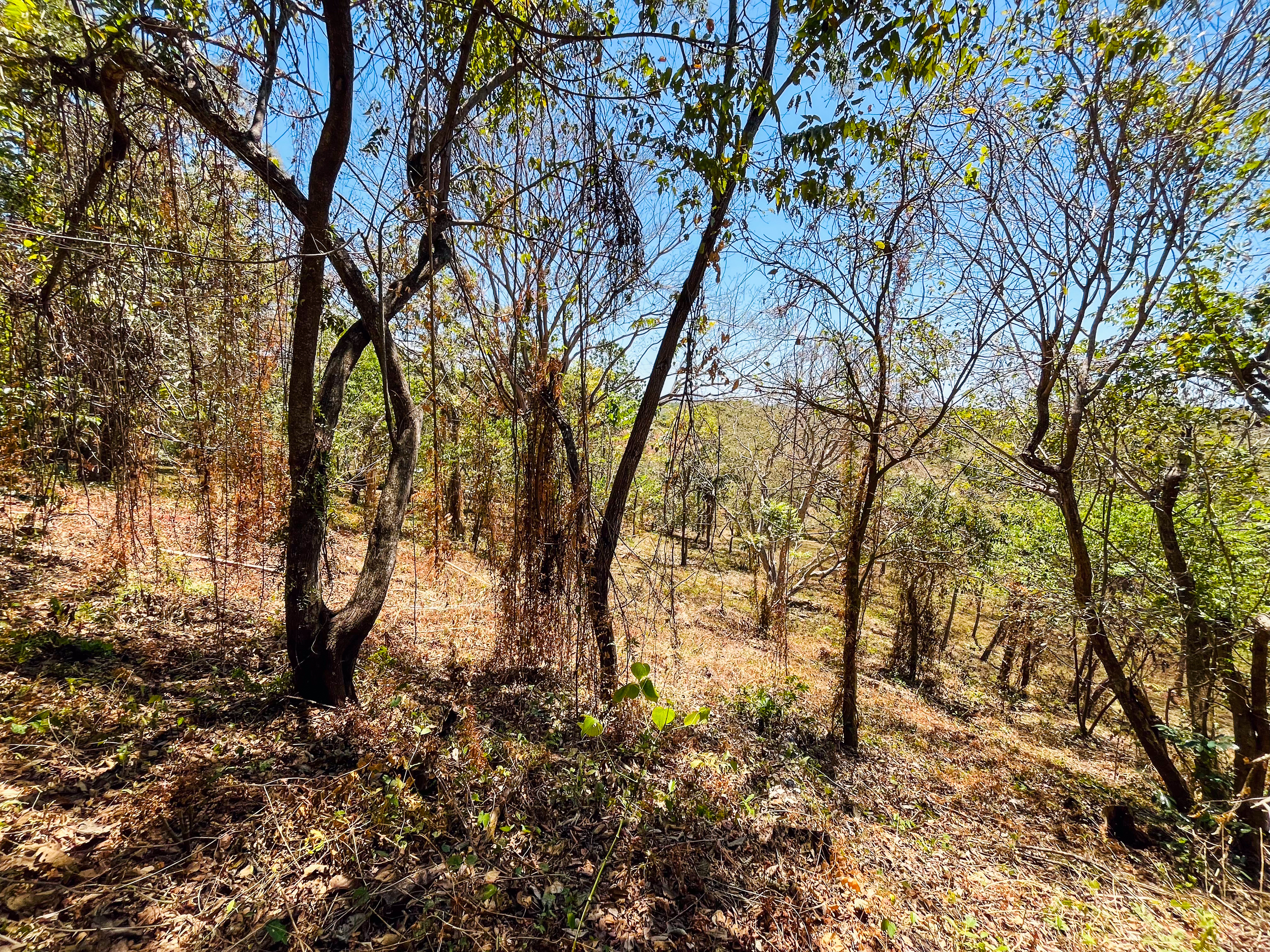0 bed Land For Sale in Playa San Miguel, Guanacaste - thumb 4
