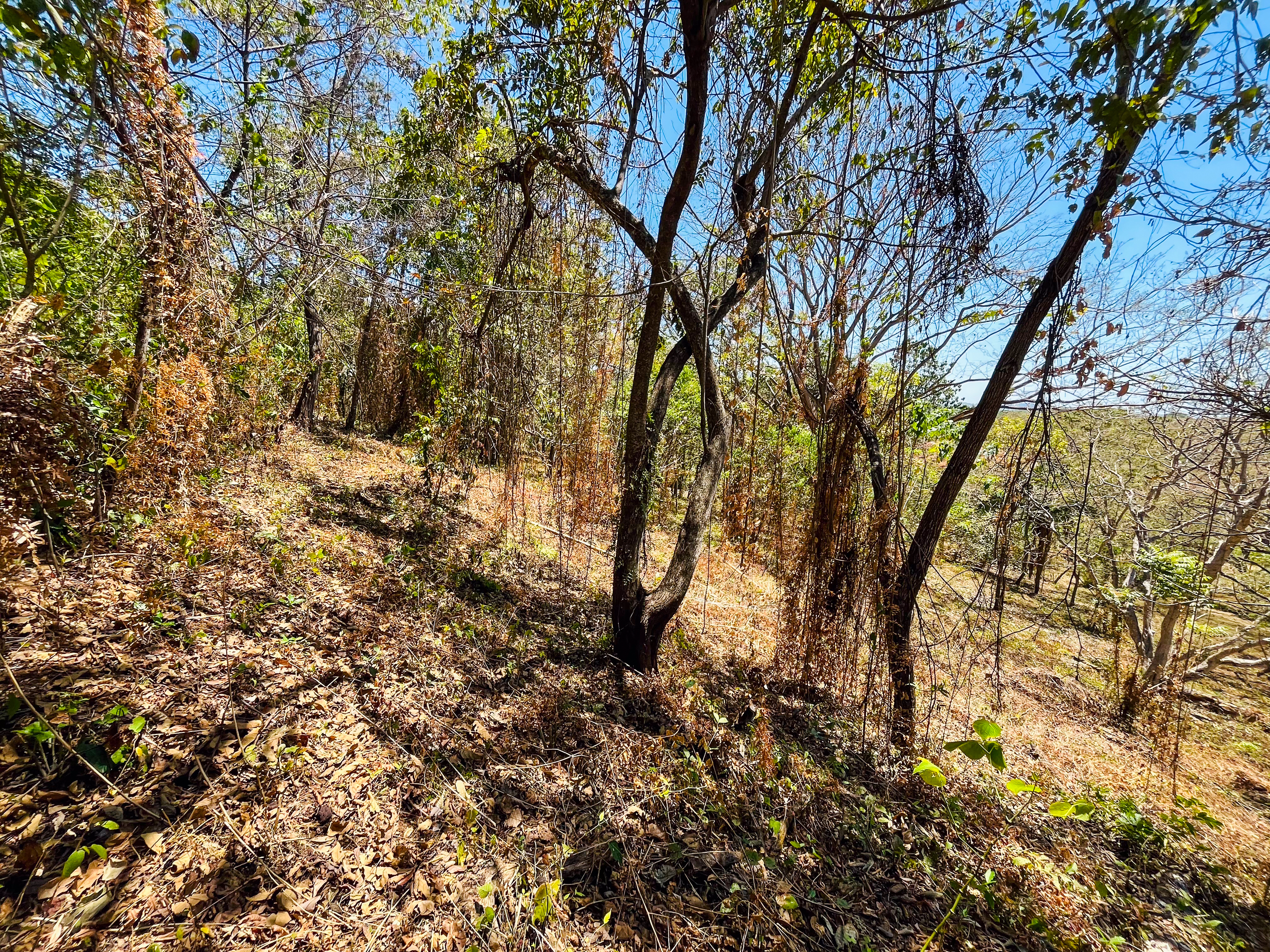 0 bed Land For Sale in Playa San Miguel, Guanacaste - thumb 3