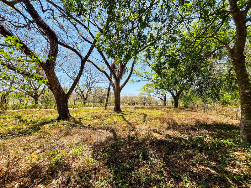 0 bed Land For Sale in Playa San Miguel, Guanacaste - 1