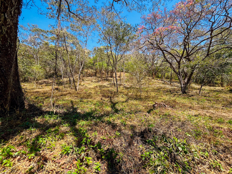 0 bed Land For Sale in Playa San Miguel, Guanacaste - hero 5