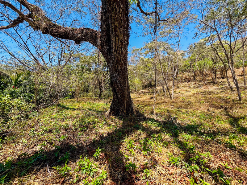 0 bed Land For Sale in Playa San Miguel, Guanacaste - hero 4