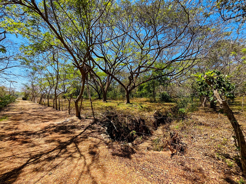 0 bed Land For Sale in Playa San Miguel, Guanacaste - hero 2