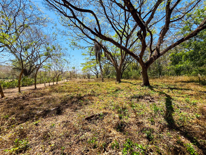 0 bed Land For Sale in Playa San Miguel, Guanacaste - 1