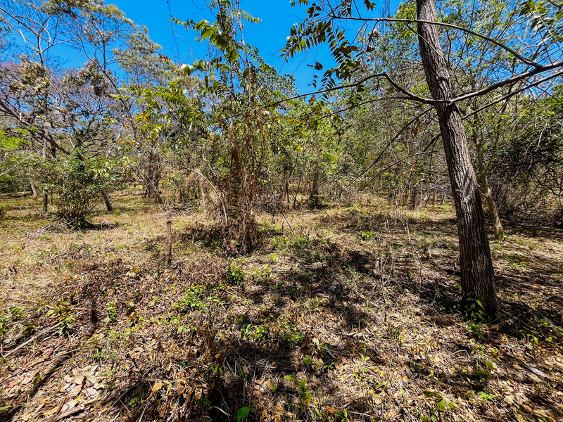 0 bed Land For Sale in Playa San Miguel, Guanacaste - hero 3