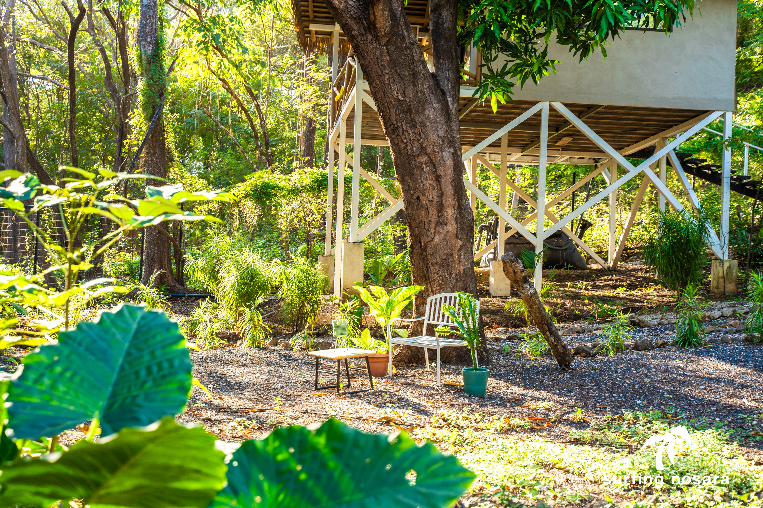 4 bed Single Family Homes For Sale in Nosara, Guanacaste - thumb 25