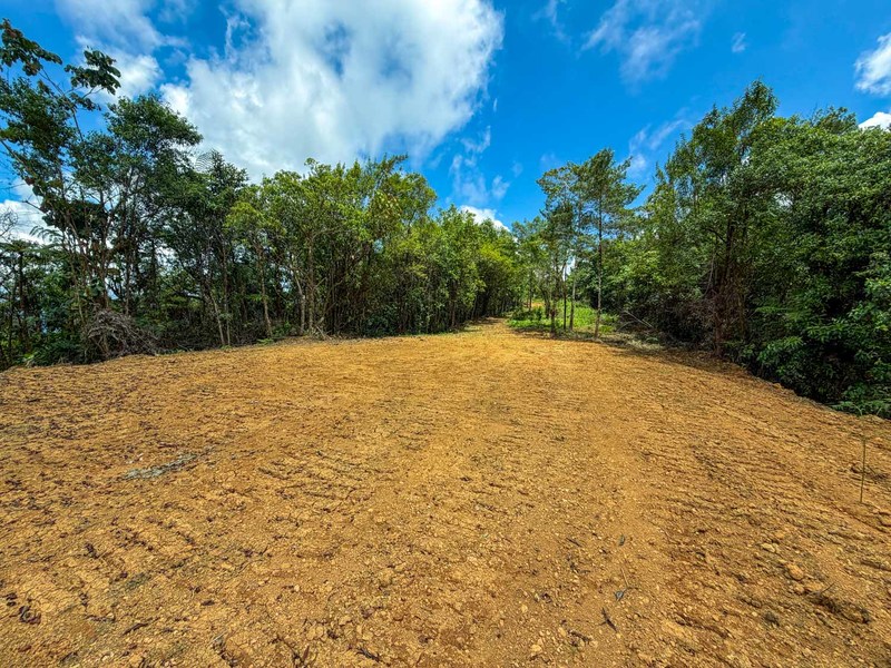 0 bed Land For Sale in Perez Zeledon, San Jose - hero 15