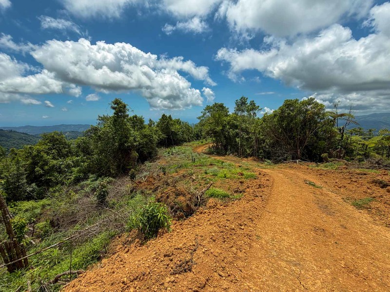 0 bed Land For Sale in Perez Zeledon, San Jose - hero 21